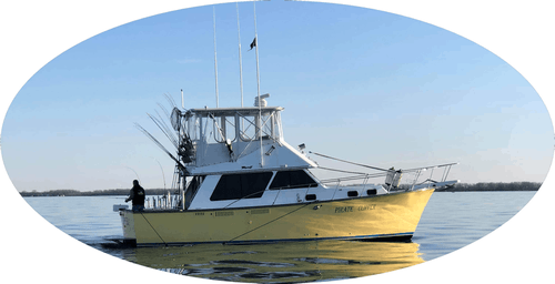 Lake Erie Charters